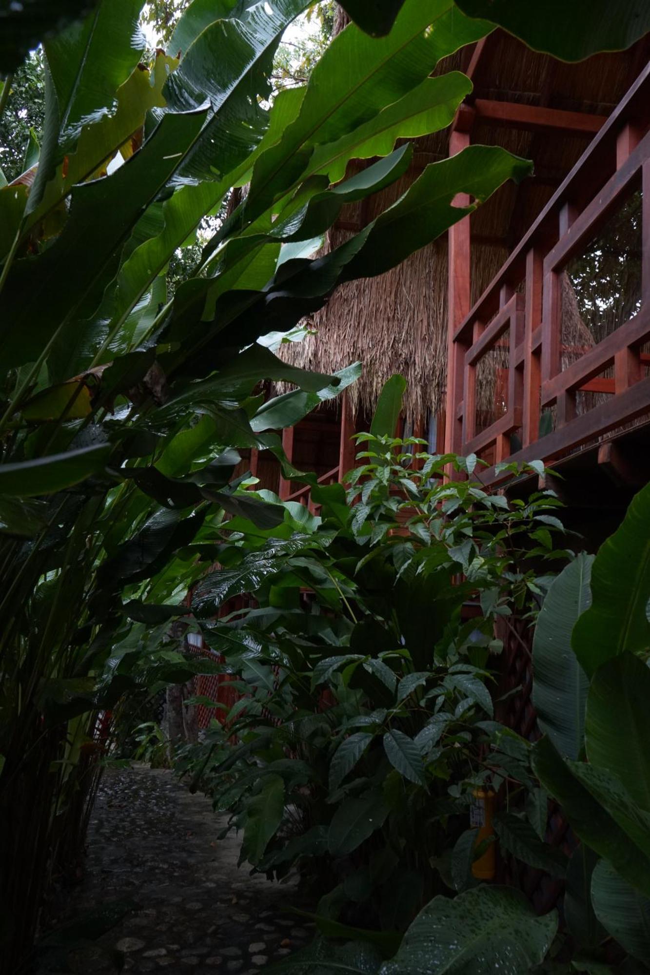 Bio Rio Hotel San Jerónimo المظهر الخارجي الصورة